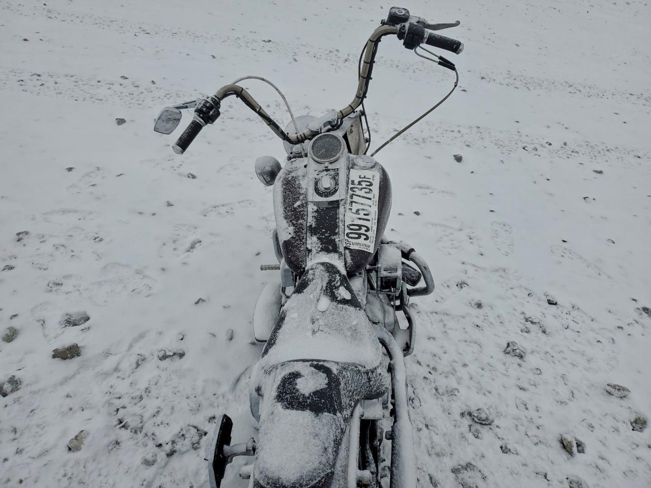 2006 HARLEY-DAVIDSON FLSTCI