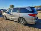 2023 HONDA ODYSSEY