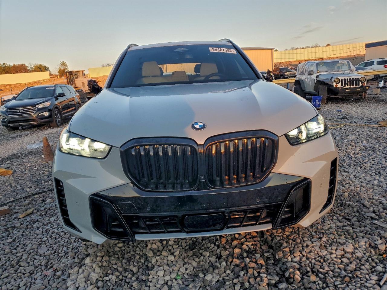 2024 BMW X5