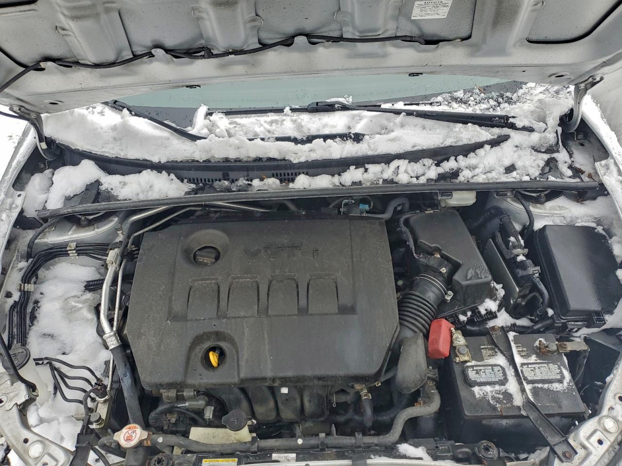 2019 TOYOTA COROLLA