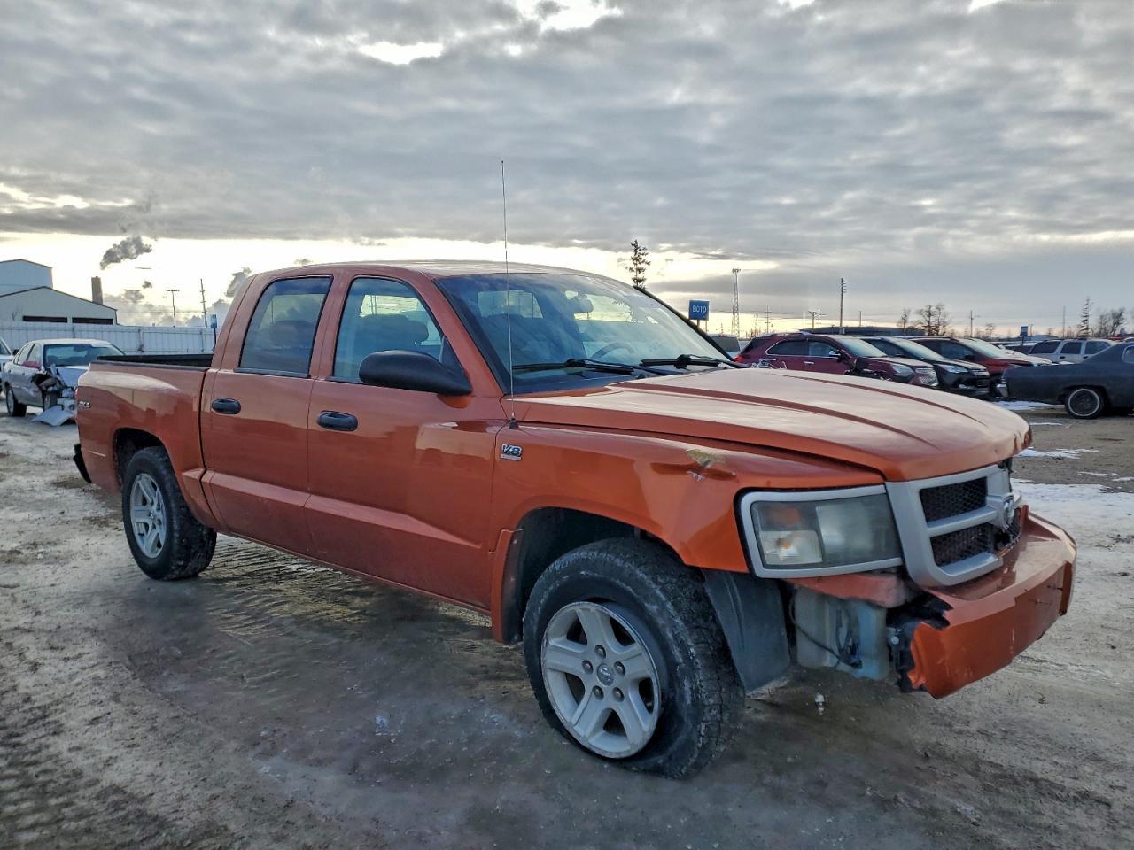 2010 DODGE Dakota