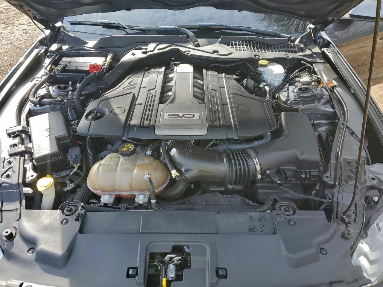 2019 FORD MUSTANG