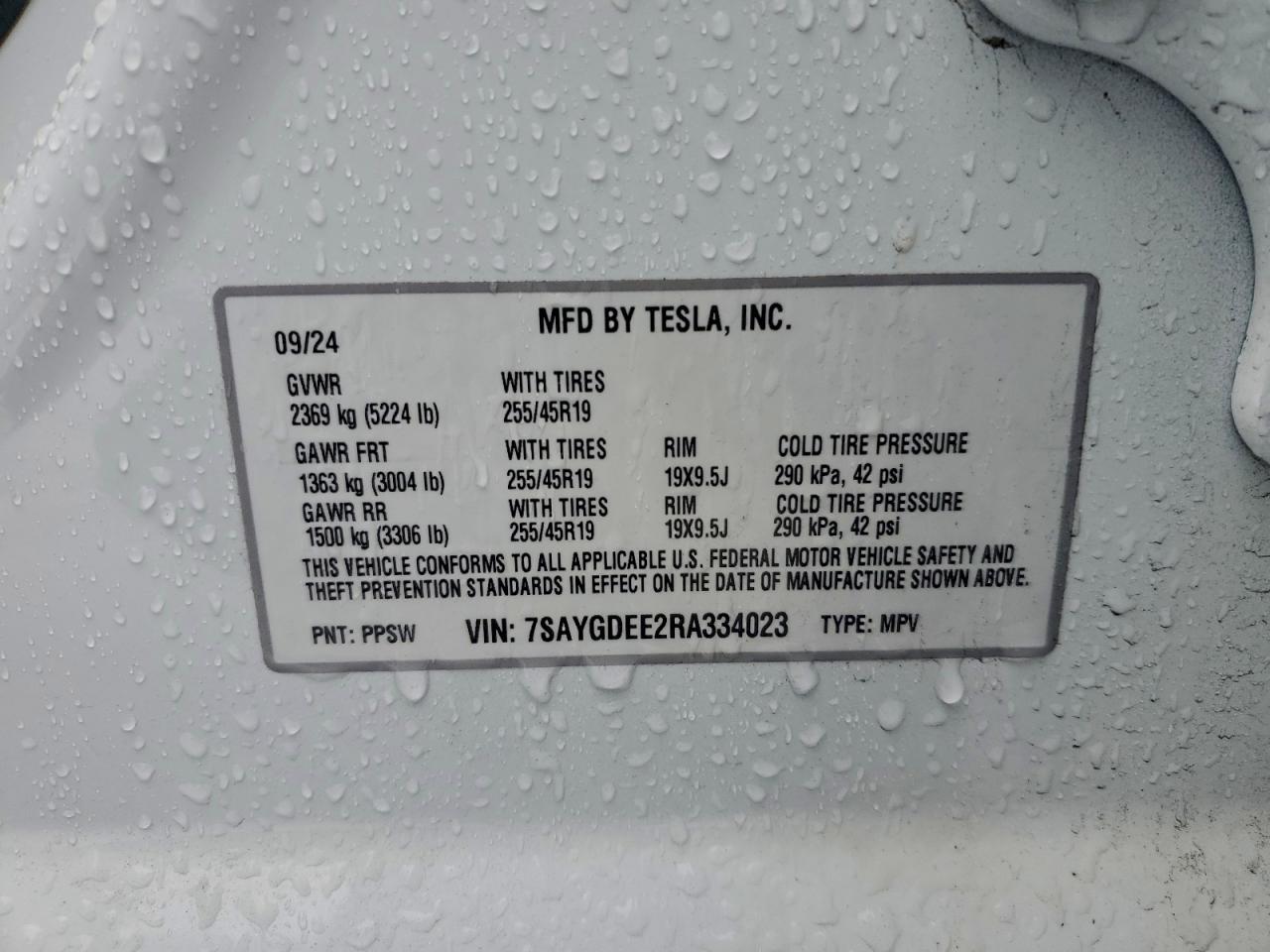 2024 TESLA MODEL Y