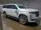 2023 CADILLAC ESCALADE
