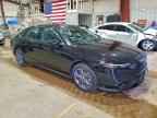 2023 HONDA ACCORD