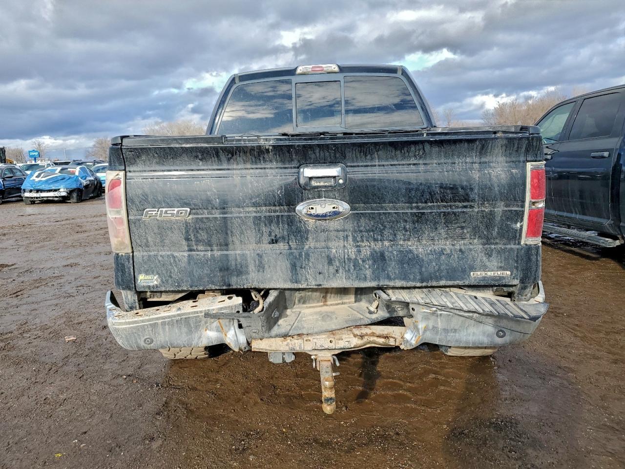 2011 FORD F-150