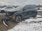 2025 KIA SELTOS