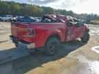 2007 FORD F-150
