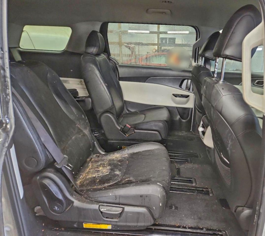 2023 KIA Carnival