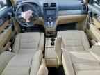 2010 HONDA CR-V