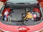 2026 KIA Niro