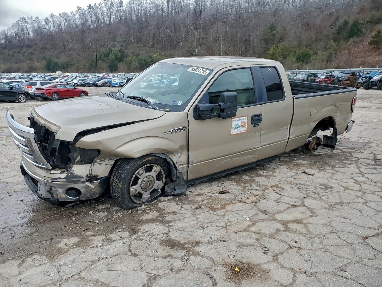 2010 FORD F-150