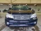 2013 LEXUS GX 460