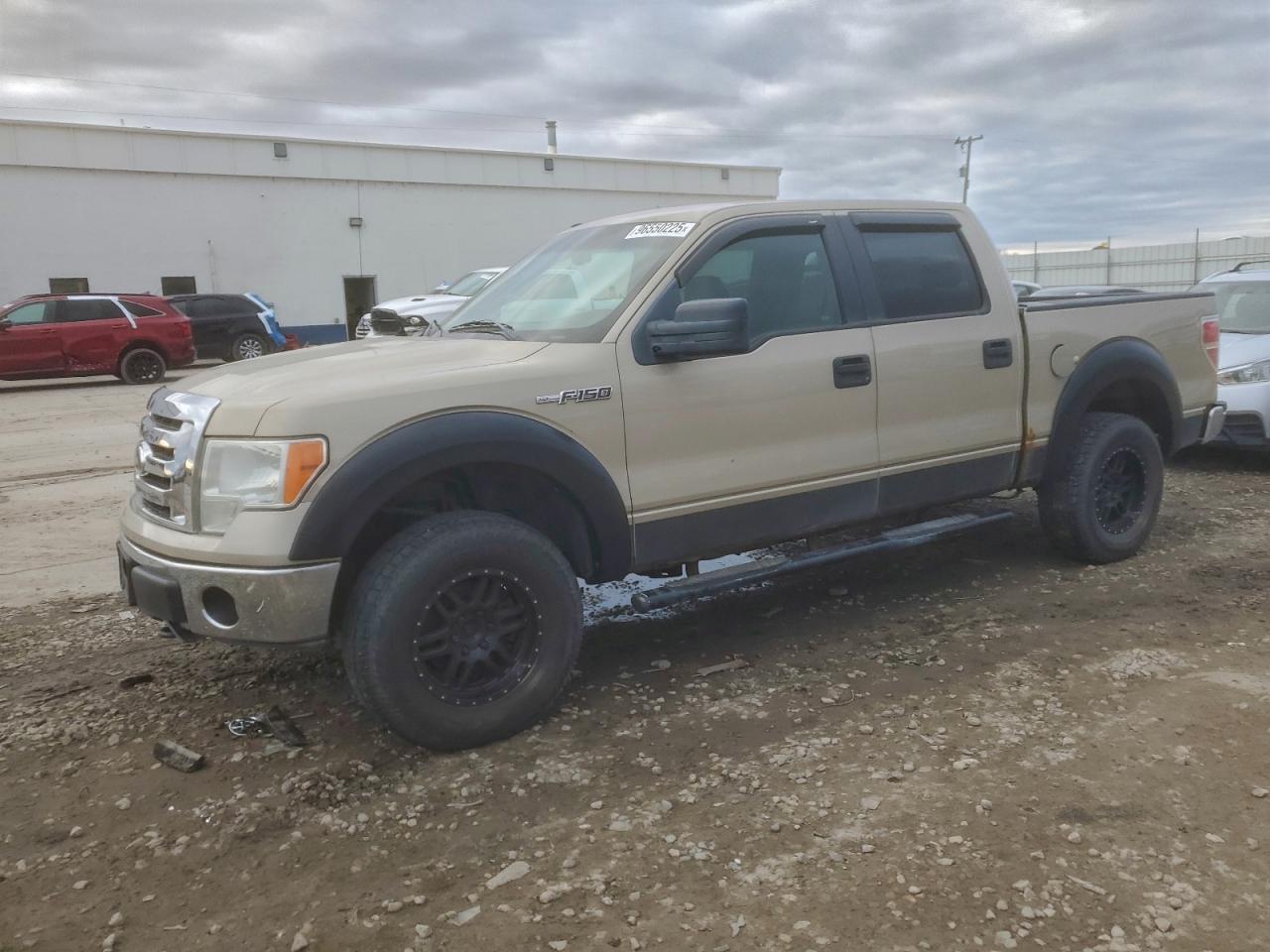 2009 FORD F-150