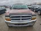 2000 DODGE Dakota