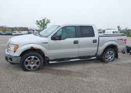 2010 FORD F150 XLT SUPERCREW