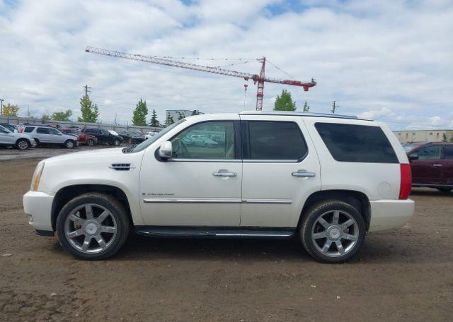 2007 CADILLAC ESCALADE LUXURY