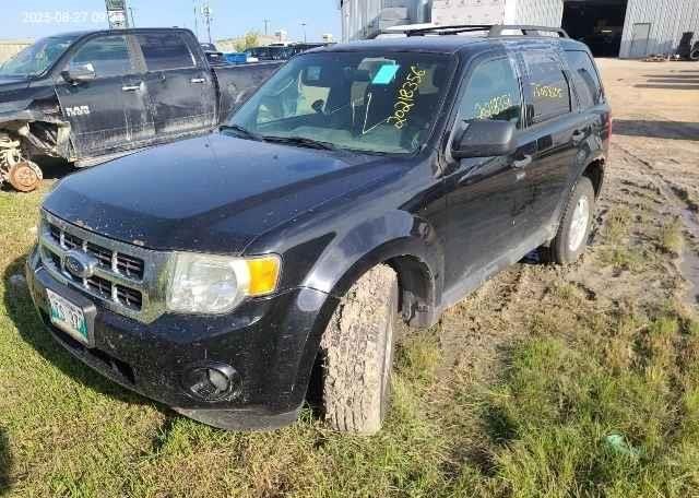 2012 FORD ESCAPE XLT