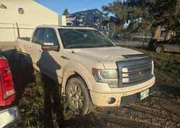 2013 FORD F150 PLATINUM SUPERCREW