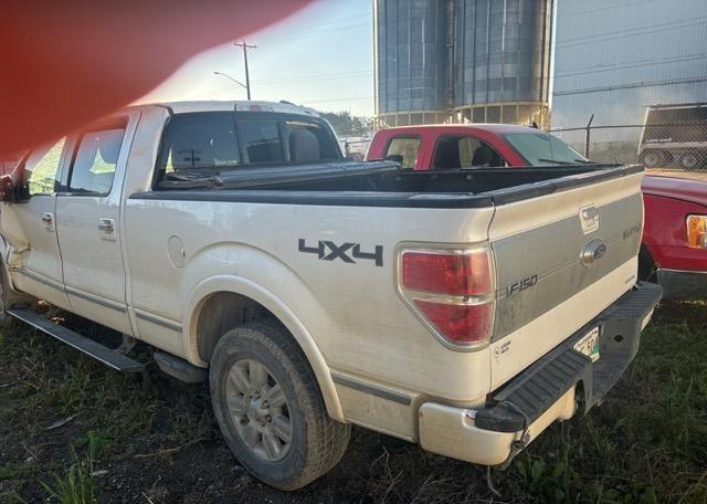 2013 FORD F150 PLATINUM SUPERCREW