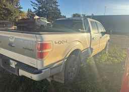 2013 FORD F150 PLATINUM SUPERCREW