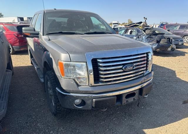 2011 FORD F150 XLT SUPERCREW