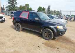 2011 FORD ESCAPE XLT
