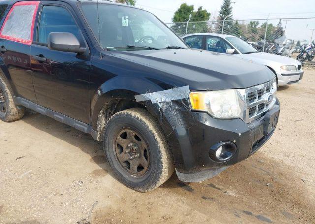 2011 FORD ESCAPE XLT