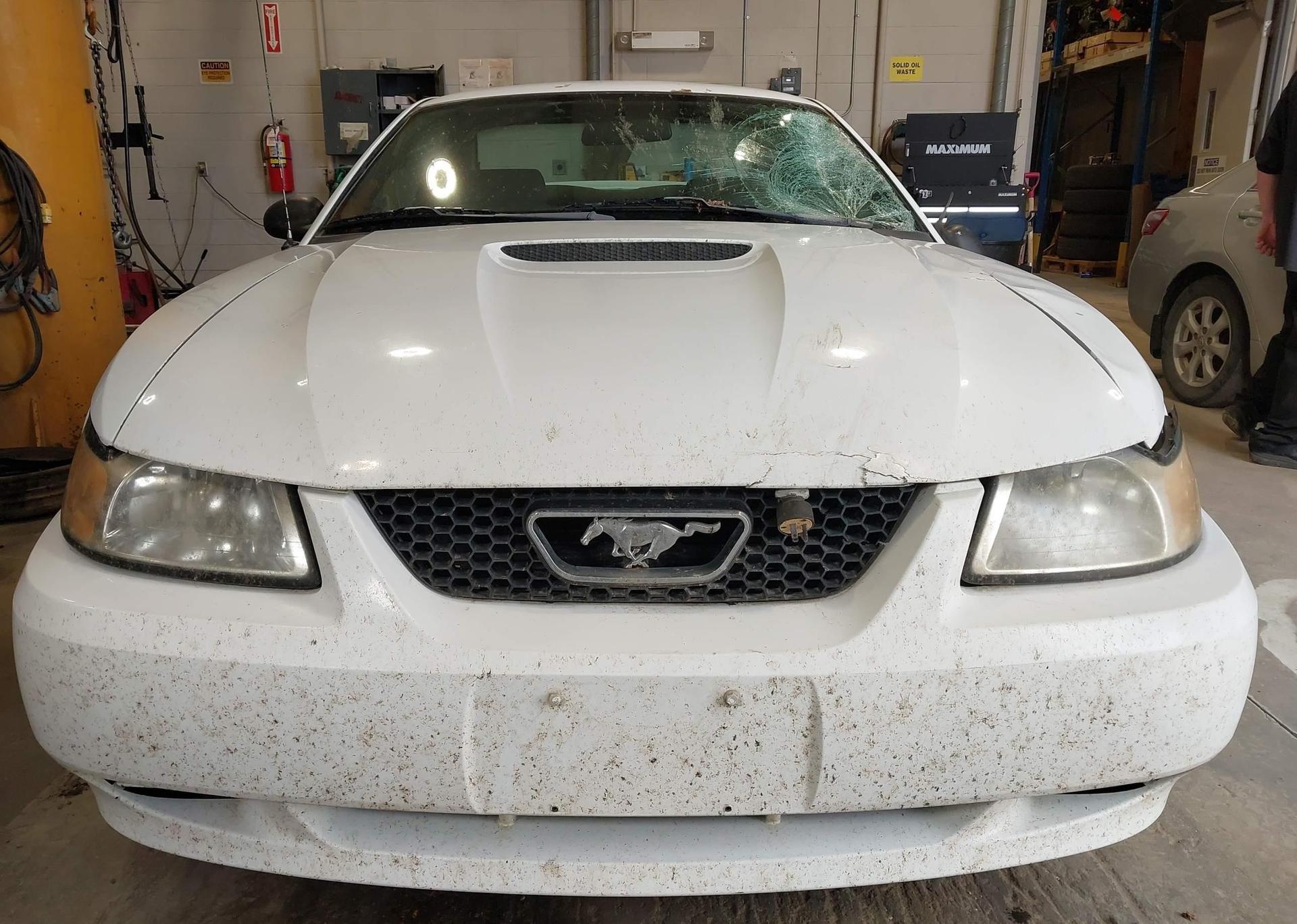 2000 FORD MUSTANG
