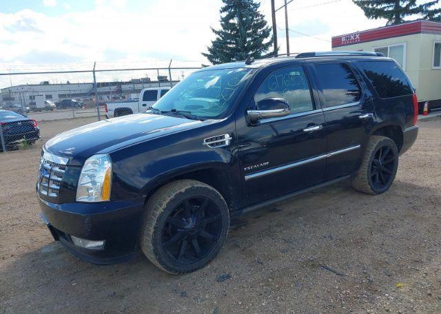 2011 CADILLAC ESCALADE PREMIUM