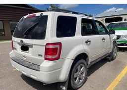 2010 FORD ESCAPE XLT