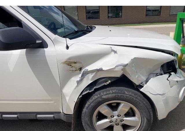 2010 FORD ESCAPE XLT