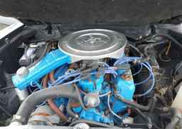 1977 FORD MUSTANG