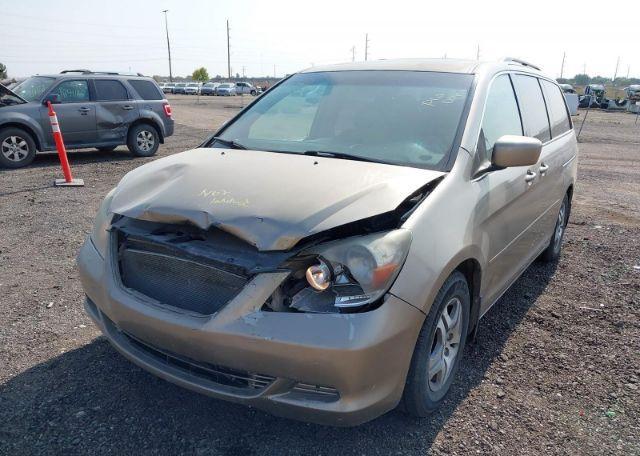 2007 HONDA ODYSSEY EXL