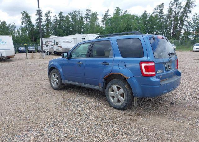 2009 FORD ESCAPE XLT