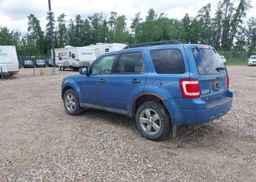 2009 FORD ESCAPE XLT
