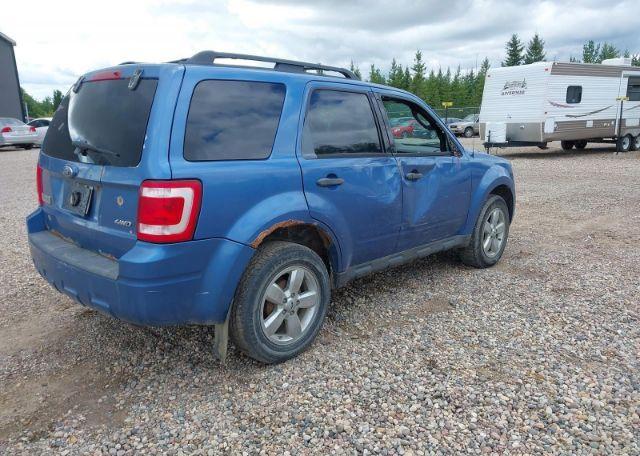 2009 FORD ESCAPE XLT