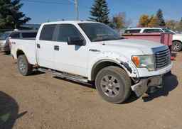 2010 FORD F-150