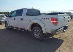 2010 FORD F-150