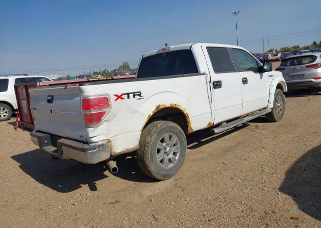 2010 FORD F-150