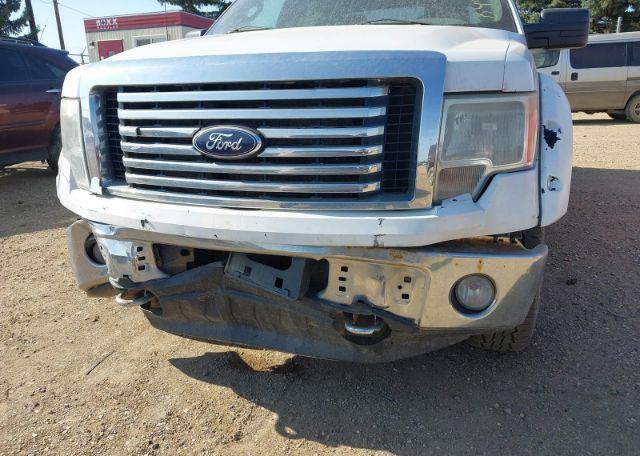 2010 FORD F-150