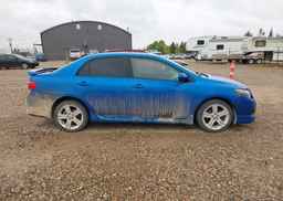 2010 TOYOTA COROLLA XRS