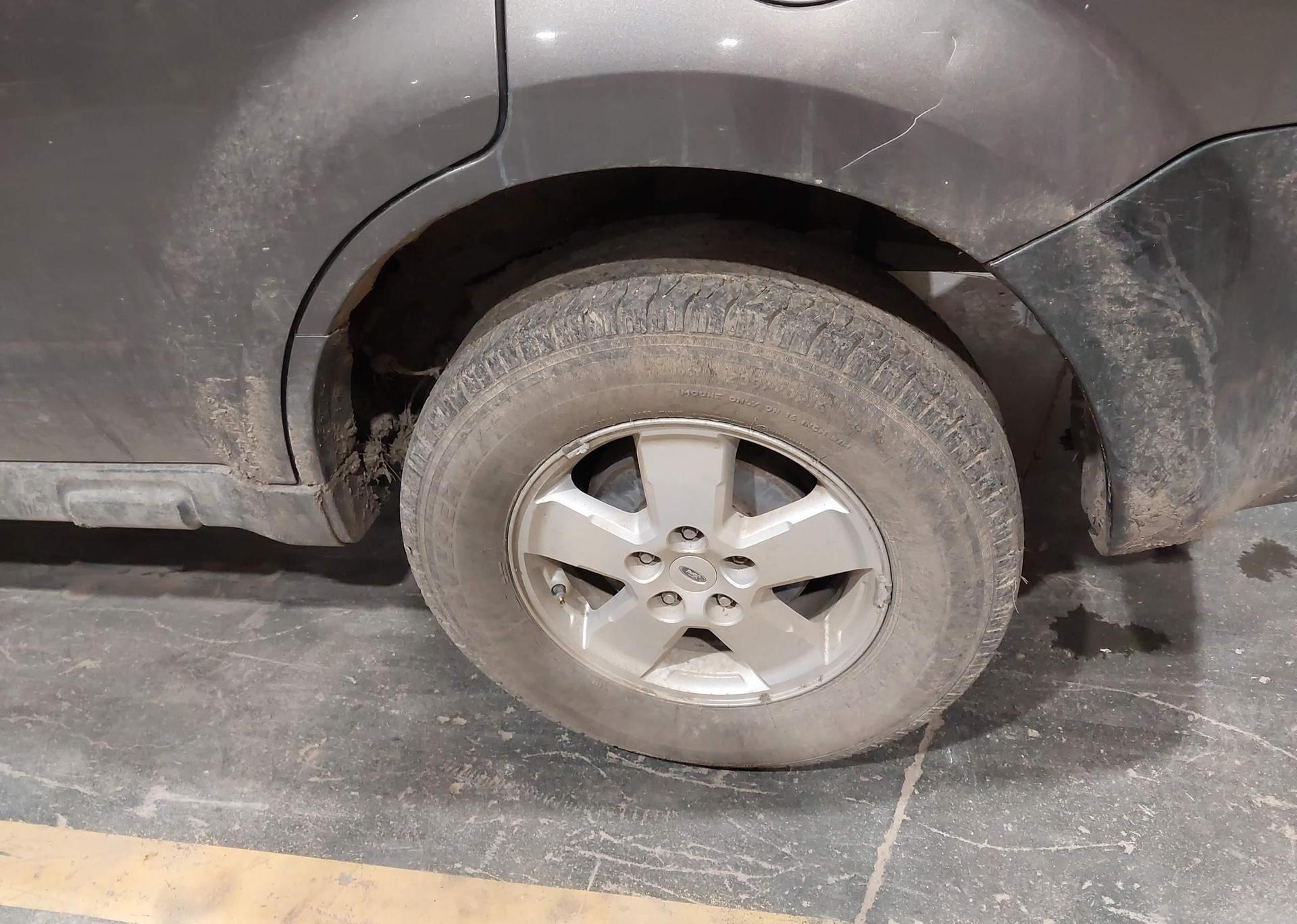 2010 FORD ESCAPE XLT AUTOMATIC
