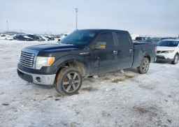 2010 FORD F150 SUPERCREW