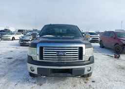 2010 FORD F150 SUPERCREW