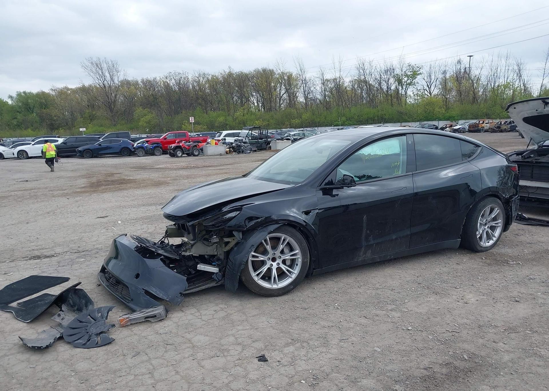 2023 TESLA MODEL Y RWD