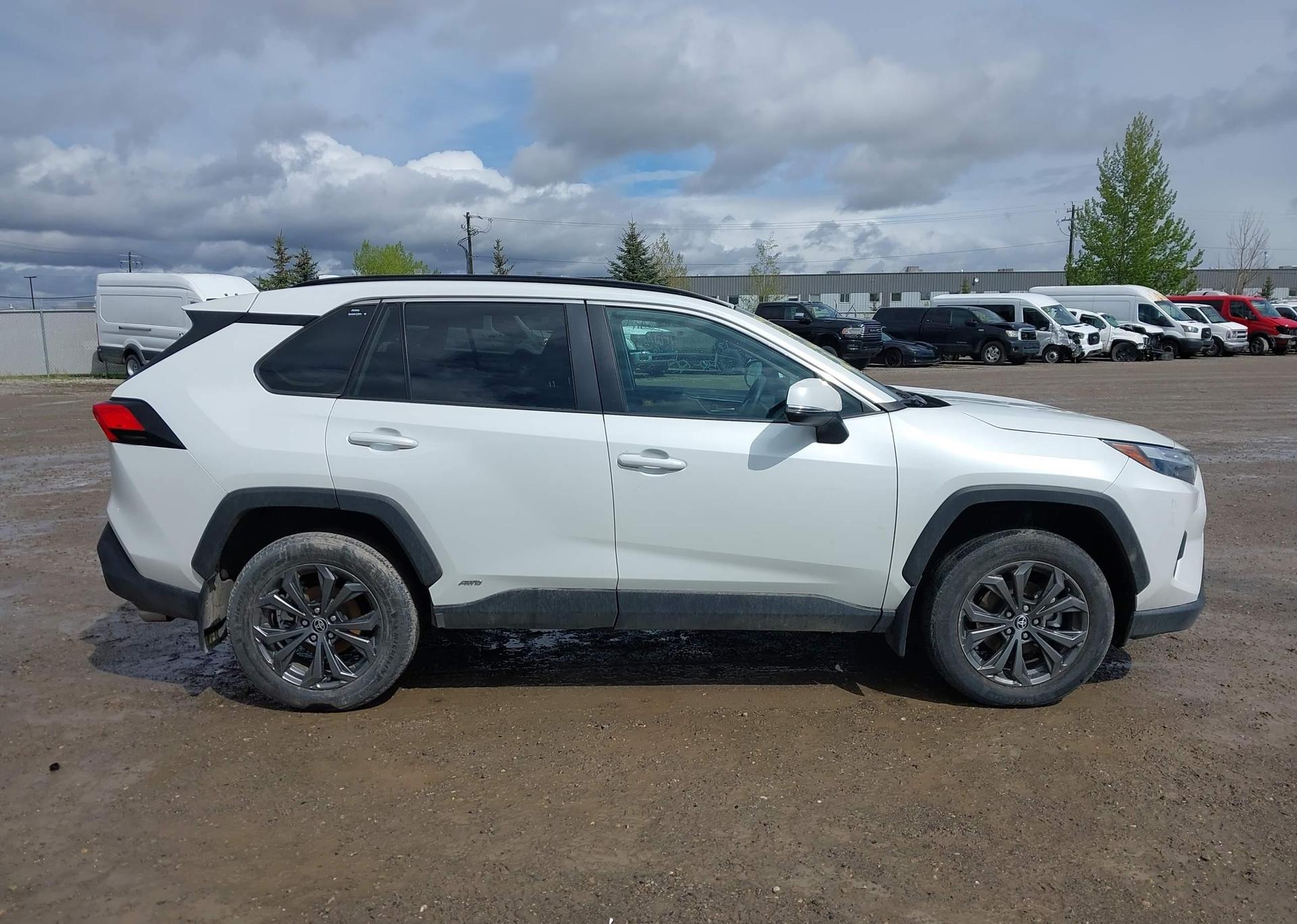 2023 TOYOTA RAV4 XLE