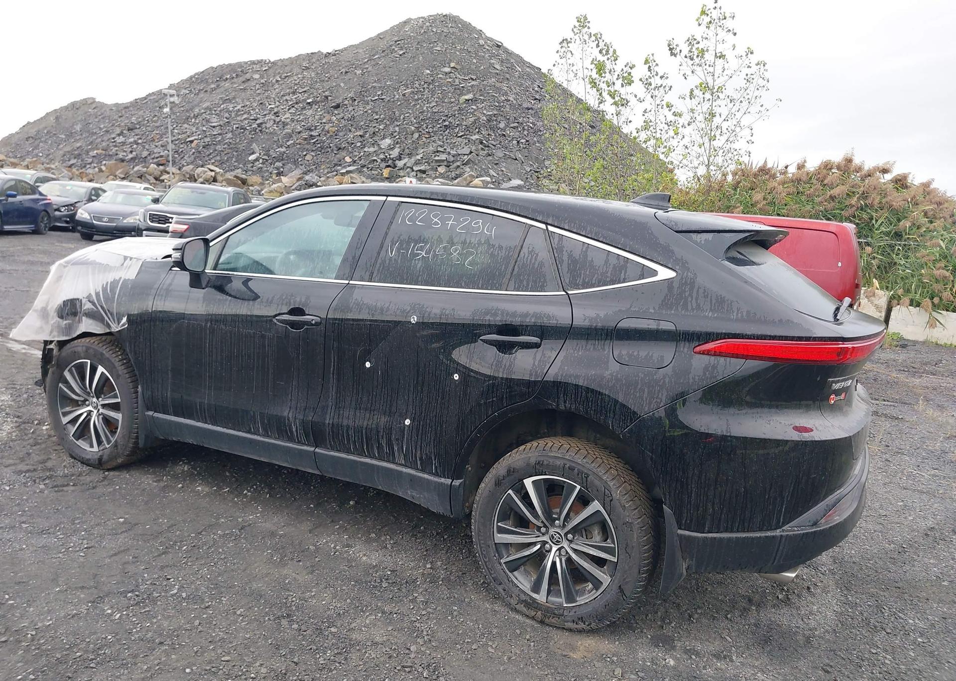 2024 TOYOTA VENZA LE