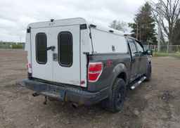 2009 FORD F-150 FX4