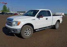 2013 FORD F-150 XLT